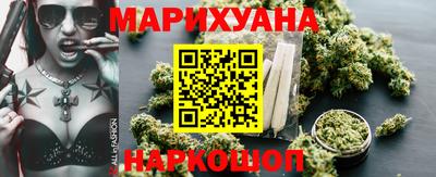 сатива Коммунар