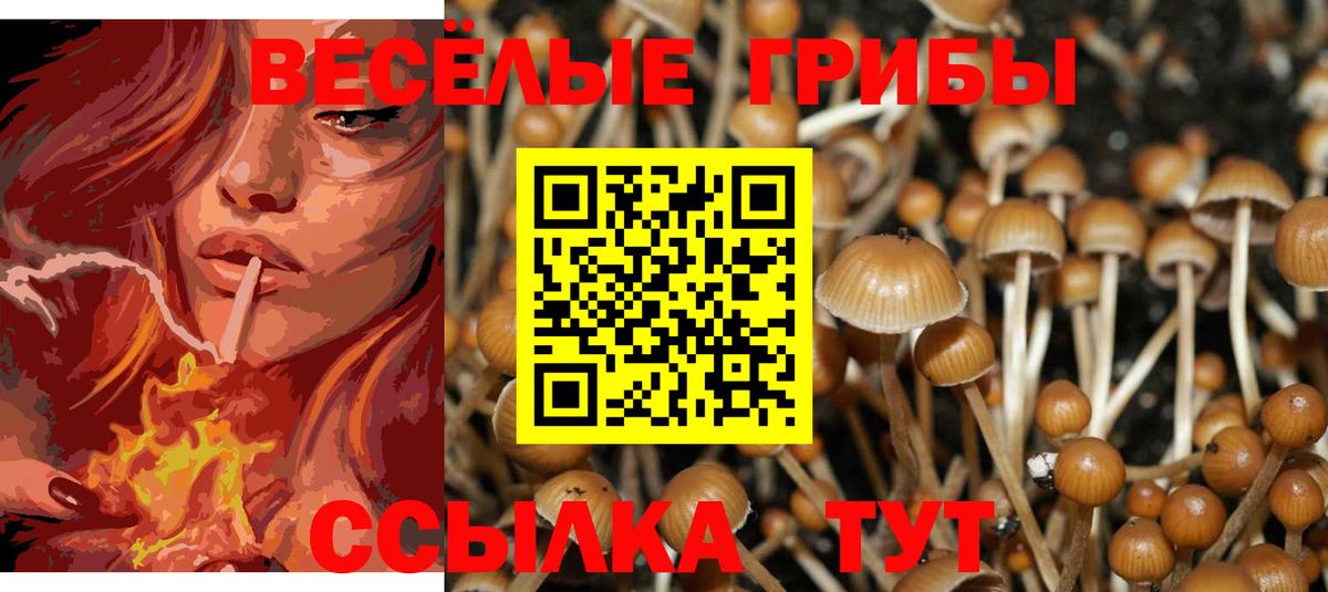 Кудымкар  цены наркотик  Вход с VPN  Псилоцибиновые грибы ЛСД 